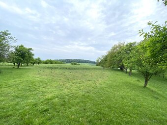 Bezuchov, stavební pozemek 3440m2 - 10