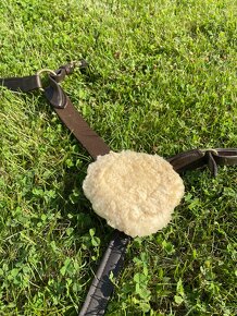 Pětibodový poprsák Kentaur Palermo - 10