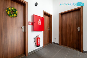 Pronájem, byt 3+kk, 56 m2, Luby, ul. Revoluční - 10