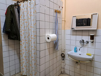 Komerční nemovitost - Kolín - 10