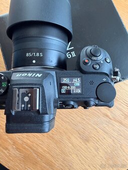 Nikon Z6 II + Nikkor Z 85 mm f/1.8 S - 10