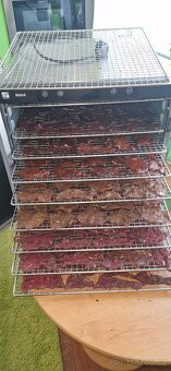 Jerky - Domácí sušené maso - 10