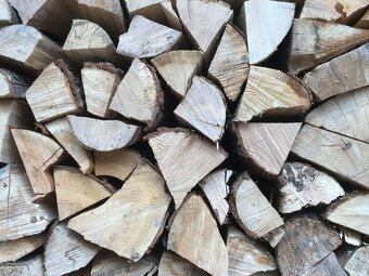 Palivové dřevo tvrdé SUCHÉ AKCE měkké mix i špalky mix - 10