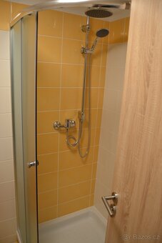 PRONÁJEM BYTU 1+KK - 10