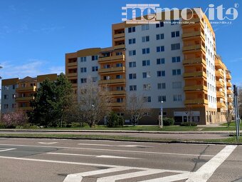 Pronájem byty 2+kk, 62 m2 - Hradec Králové - Nový Hradec Krá - 10
