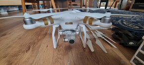 DJI Phantom 3 Professional - 10