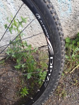 MTB/DIRT PELLIS ROOT - 10