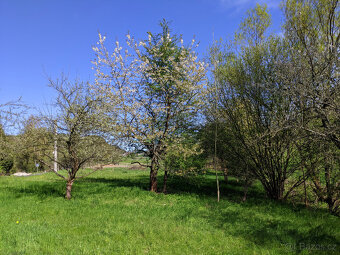 Prodám zahradu 2000m² - Frýdštejn - Sestroňovice - 10
