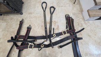 Prodám párové postroje do kočáru s chomouty - 10