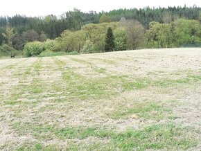 KVĚTOV (Hamr) - pozemek na RD na polosamotě - 10