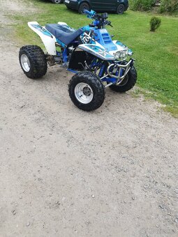 Yamaha Warrior 350 - 10