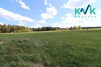 Zemědělská usedlost, pozemek 50 524 m2, rybník, stáje, stodo - 10