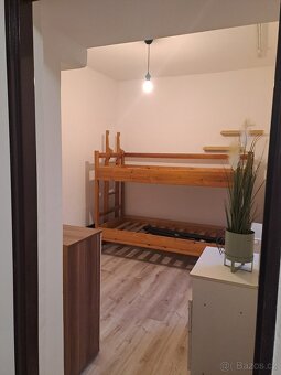 Pronájem byt 2+1 - 10