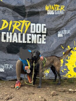 Belgický ovčák Malinois - 10