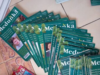 Regena, Meduňka - 10