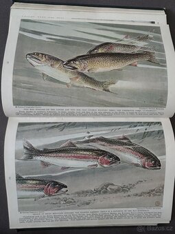 National Geographic, svázaný kompletní ročník 1939, anglicky - 10