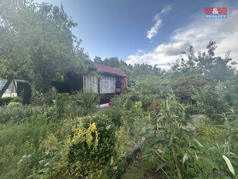 Prodej zahrady, 427 m², s chatou 27m², Košťany - 10