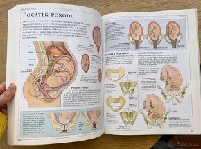 Lidské Tělo encyklopedie pro mladší, přírodopis - 10