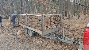 Palivové dřevo - 10