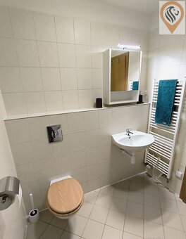 Pronájem luxusního bytu na Praze 3 , Žižkově - 10