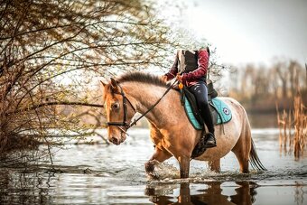 Klisna APH / APPA (rezervace do 23.11.) - 10