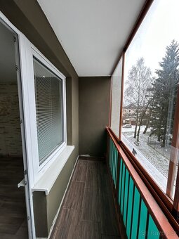 Pronájem panelového bytu 2+1, Svitavy - 10