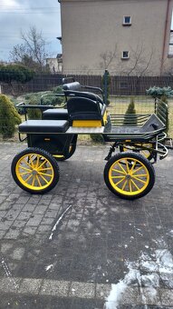 Kočár pro pony a menčí koně - 10