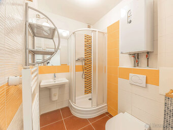 Pronájem bytu 2+kk 45 m² sklep, Praha 3 Žižkov - 10
