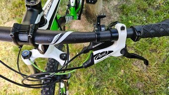 Specialized Carve Comp 29 vel L-19 - 10
