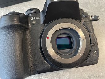Panasonic LUMIX GH4 - 10