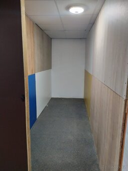 SLADOVACI KOJI PLZEN. - 10