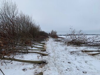 Údržba zeleně - 10