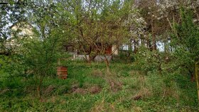 Prodej zděné chaty 49 m2 v  Charvatcích s pozemkem  526 m2 - 10