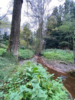 Pozemek 6 104 m² na Vysočině – BEZ RK - 10