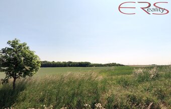 Pole, 22 918 m², Čelákovice, ev.č. 00602 - 10
