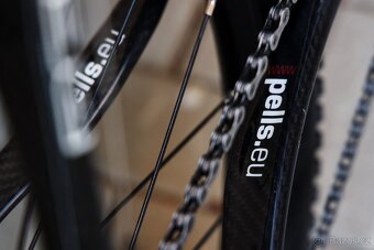 MTB Pells RAZZER carbon Race D (XL) - 10