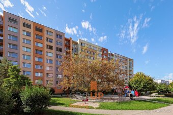 Prodej bytu 1+1 o rozloze 46 m², ulice Bezdrevská, České Bud - 10