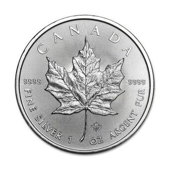 Stříbrné mince a slitky 10 oz - 10