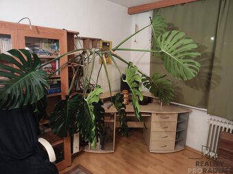 Byt 2+1 na prodej, 64 m2, OV, Bezručova, Chomutov - 10