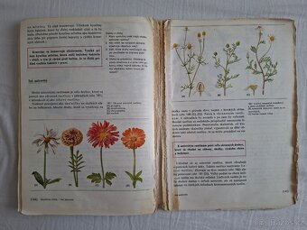 Přírodopis pro 5. ročník ZŠ (1988) - 10