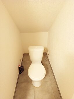 Byt 1+1 (cca. 45 m2)+ zahrada (700 m2), Slovany, Plzeň - 10