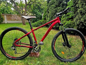 Horske kolo Genesis 29 - 10