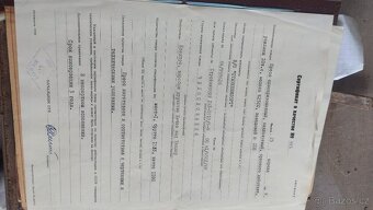 PRODÁM  LIS  -  KOMPLET - 10