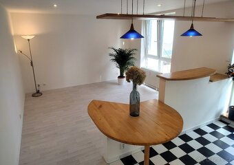 Prodej bytu 1+kk 33m² + 48m² terasa/zahrádka, Praha-Trója - 10