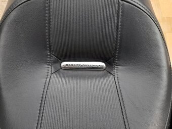 HARLEY DAVIDSON® BREAKOUT FXSB SISSYBAR - 10