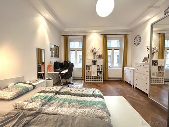 Pronájem zrekonstruovaného bytu 2+1, 67m2, se zahradou, Dr.  - 10