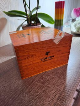 Cohiba Siglo VI - 10