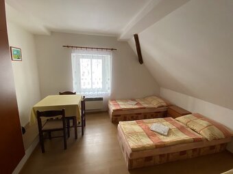 Prodej penzionu s restaurací, sálem a ubytováním – Ves 3 - 10