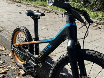 Canyon Offspring AL 16 - 10