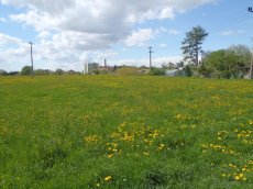 Prodej komerčního pozemku až 38 000 m² v Turnově - 10